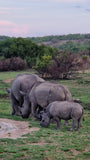 Yoga, sport and inspiration. Safari Laluka Safari Lodge.
