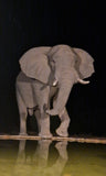 Yoga, sport and inspiration. Safari Laluka Safari Lodge.